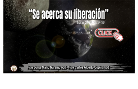Sacerdote O.C.D.