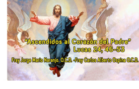 Sacerdote O.C.D.
