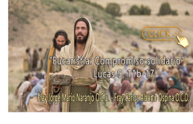 Sacerdote O.C.D.